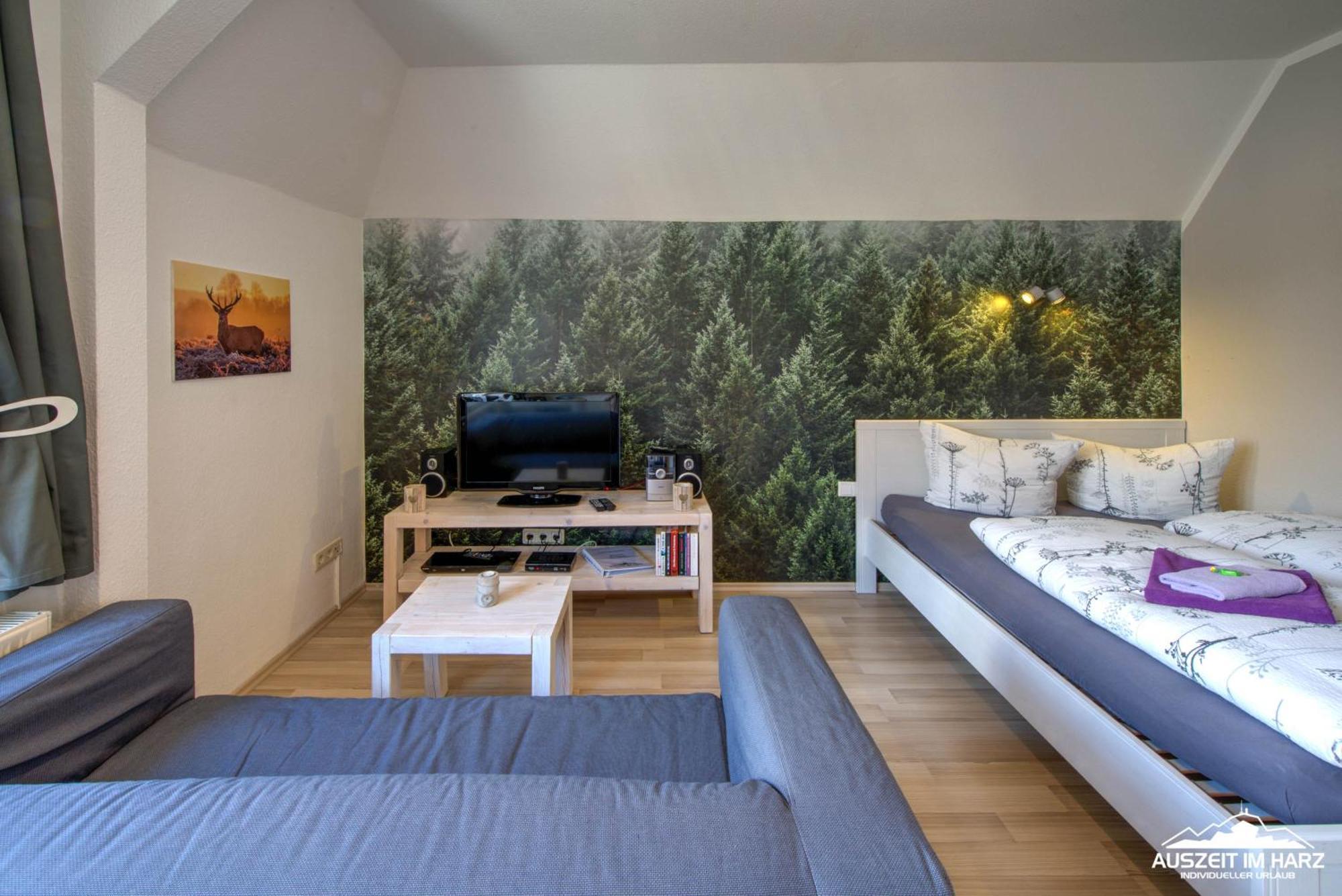 Apartment Auszeit-im-harz Haus 1 Brockenzwerg *
